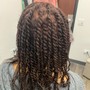 Two Strand twist