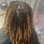 Loc retwist