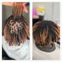 Starter Locs (Instant)