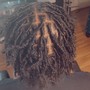 Loc Coils or Two-Stand Twist - Starter Locs