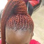 Tree Braids