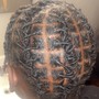 Starter locs