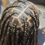 Box Braids medium / large