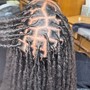 Frontal Wig Install