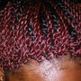 Tribal Braids/ Fulani Braids