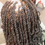 MED Senegalese Twist