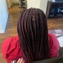 Kid's Braids Lemonades Front Knotless Back