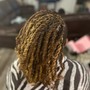 Kid's Braids w/weave (Girls)