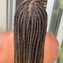 Small boho Box Braids