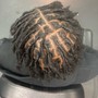 Short/Starter loc retwist