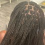 Boho Braids Medium (all human hair)