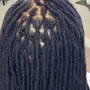 Loc Extensions below shoulder length