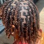 Comb Twist/ Starter Locs