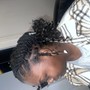 2 Sleek Braids