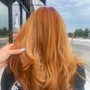 Partial Highlights