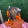 Individual Braids