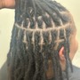 Loc Retwist