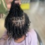 Starter Locs