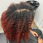 Root Touch Up