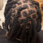 Starter Loc Twist