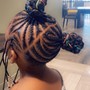 Natural Hair Braided