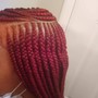 Roman  braids