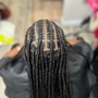 2 Feed-in BRAIDZ