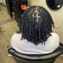 MICRO Twists