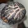 Starter Locs