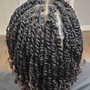 Natural Twists (mini)