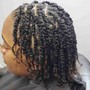 Natural Twists (mini)