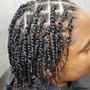 Natural Twists (mini)