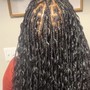 Tree Braids