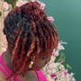 Dreadlocks Retwist