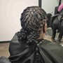 Medium Starter Locs