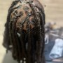 Starter locs 2 strand twist SMALL