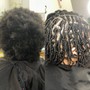 Starter locs (shoulder to mid back length)