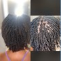 Loc Maintenance (1” to shoulder length)