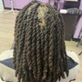 Natural Twists