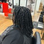 Loc Re-twist & Style