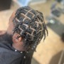 Starter Locs