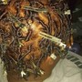 Marley Twist