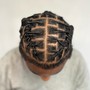 Starter Locs (Consultation Required)