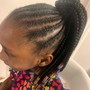 Braids w/crochet in the back