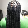 Micro Locs (Very Small Traditional)