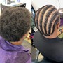 Root Touch Up