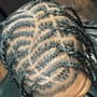 Tree Braids