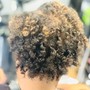 Root Touch Up