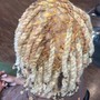 Adult starter locs