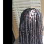 Traditional Starter Locs with 2 Strand Protective Style